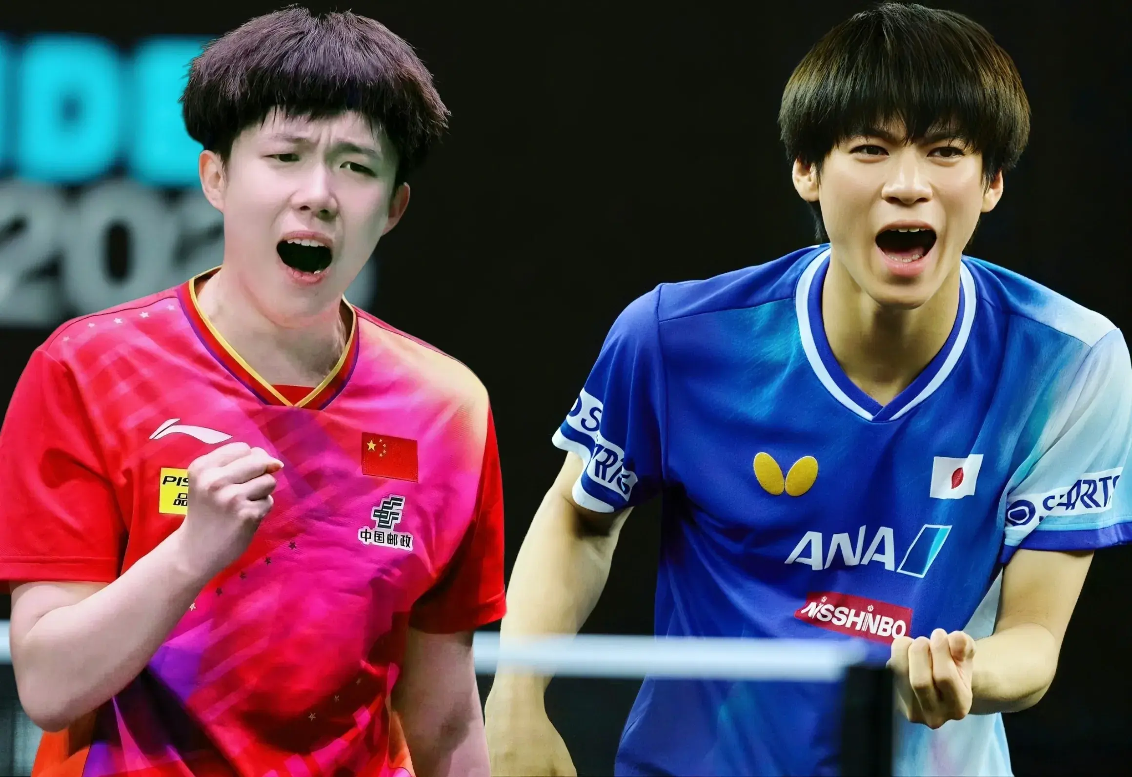 msn, 王楚钦风卷, tenan msn, 王楚钦风卷, tenan