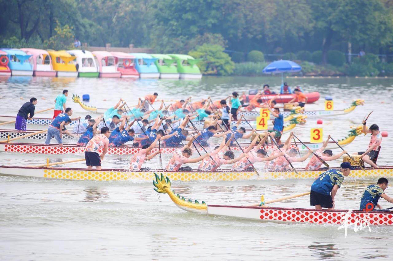 通讯员, 混合组, amp