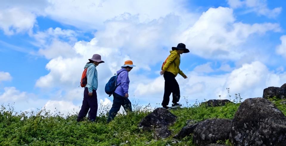 gtimg, 潘焕青, 羊城晚报